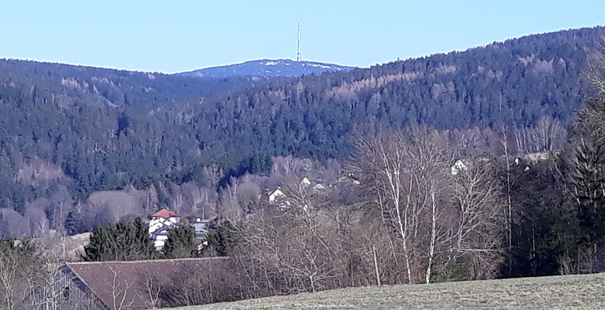 Brandholz mit Blick zum Ochsenkopf